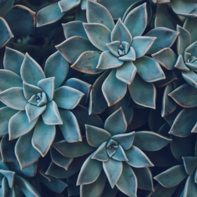 3 Lessons I Learned About Distractions