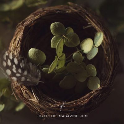 Ache of An Empty Nest